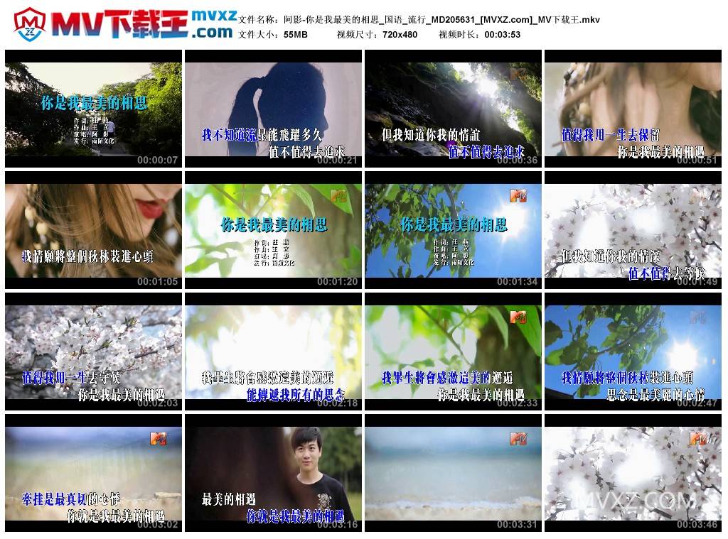 阿影-你是我最美的相思_国语_流行_MD205631
